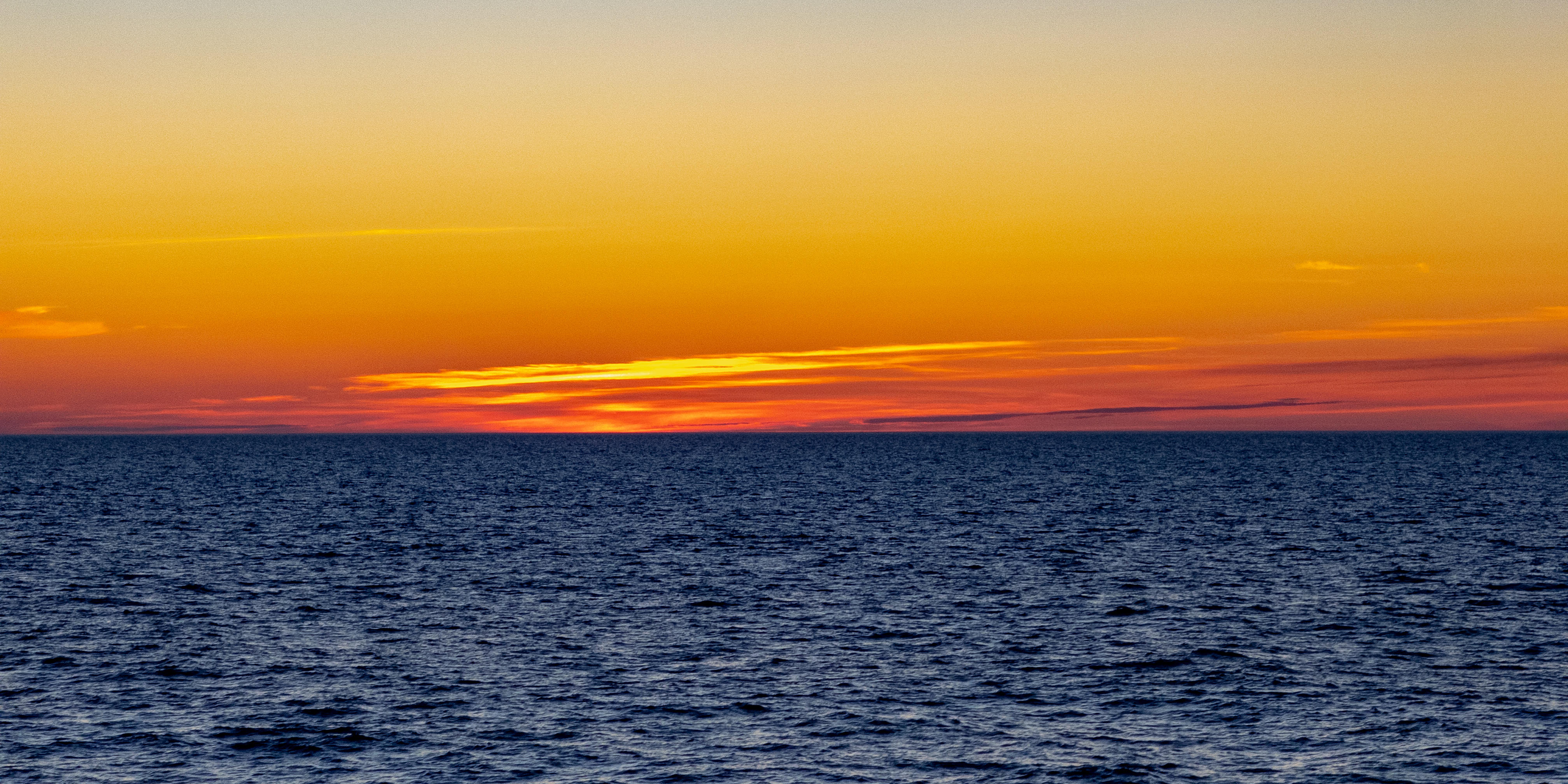 Photography by Chris Allington